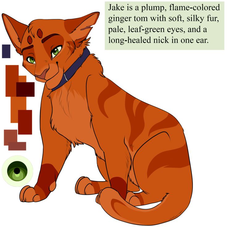 Warrior Cats: Part 1 - Play online at