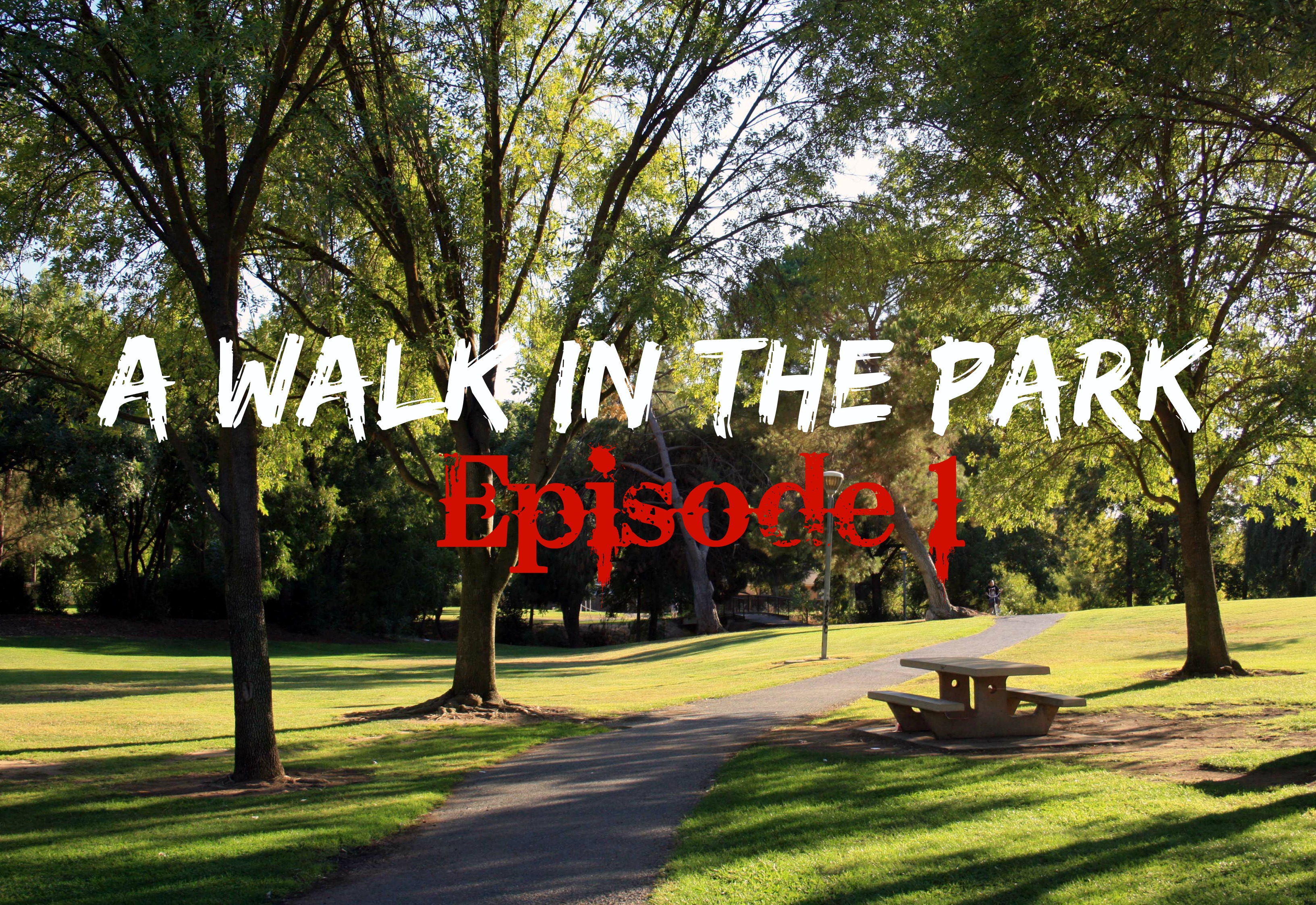 A walk in the park essay