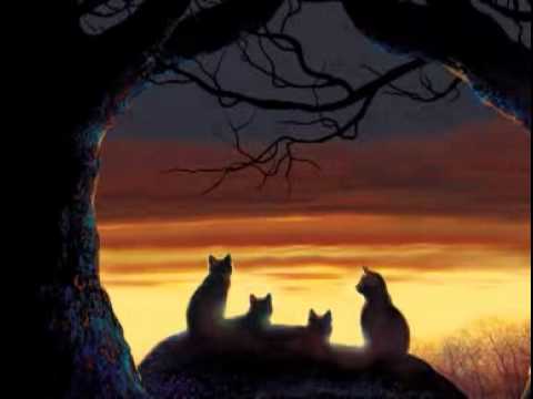 Warrior Cats is Life