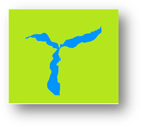 Title: The three lakes - Description: The three lakes meeting in the middle with green grass around them.